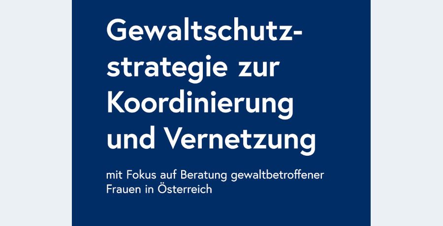Cover Gewaltschutzstrategie